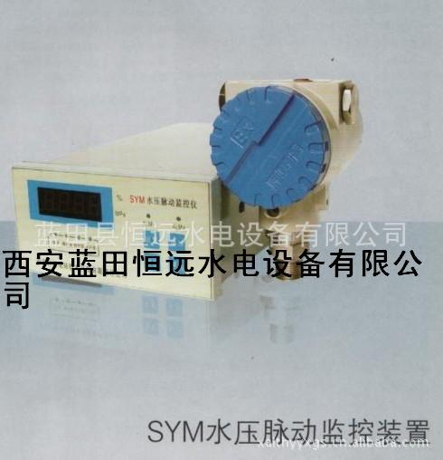 北京SYM水压脉动监测装置找