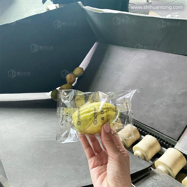 全自动柠檬包装机 蔬果锁鲜自动打包机 包装设备