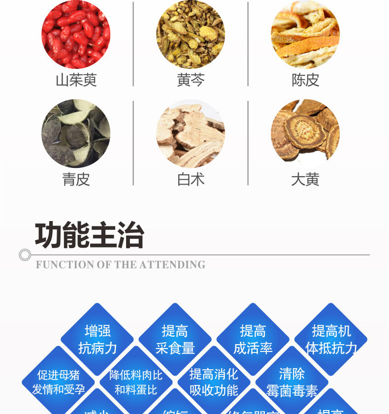 母强仔壮5_06