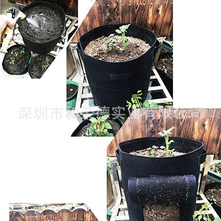 土豆袋买家秀