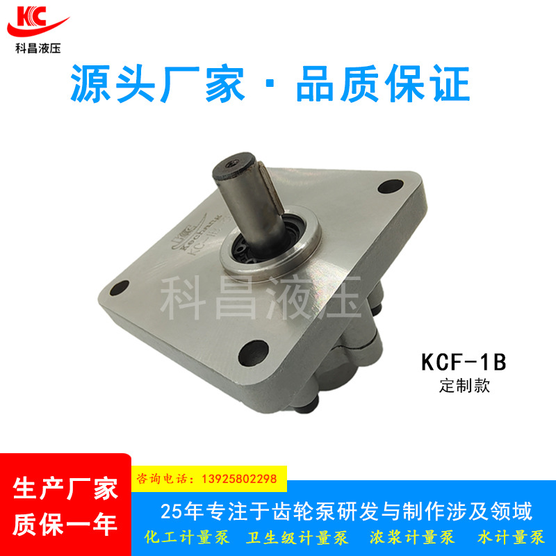 加工定制高压齿轮油泵KCF-1B化工卫生浓浆计量泵等液压系统液压泵