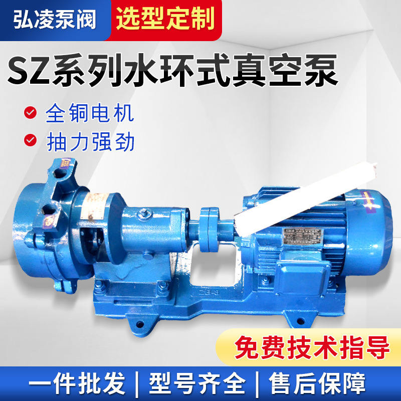 SZ系列水环式真空泵 2BV水环式真空泵 水环式真空泵