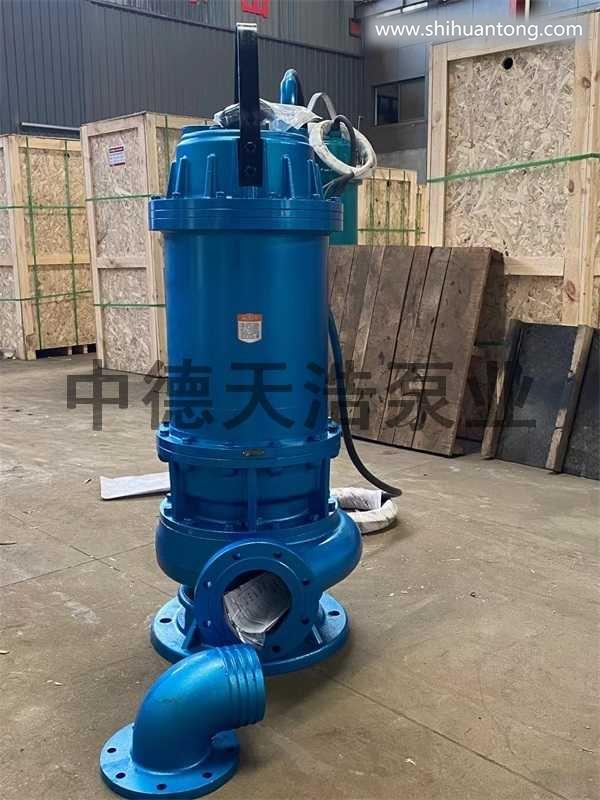 天津全自动潜水泵厂家-各种潜水泵的型号-中德天浩(推荐商家)