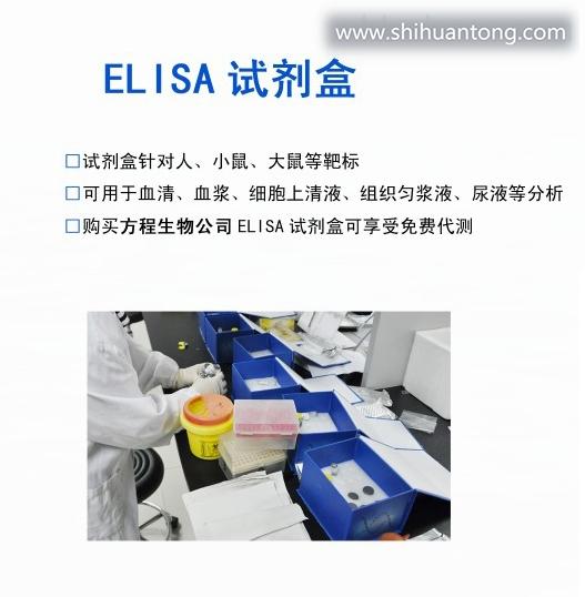 人前动力蛋白受体2（PKR2）检测ELISA Kit48T/96T