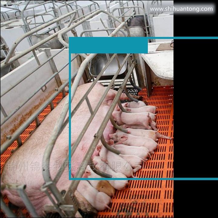 型智慧养猪监测系统