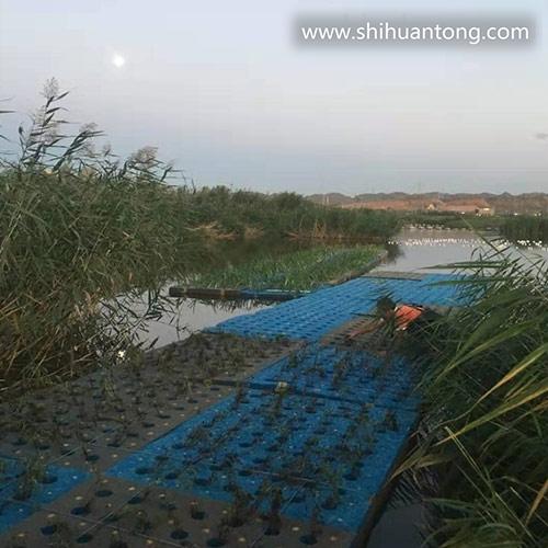 湿地水生态修复浮动生态滤床