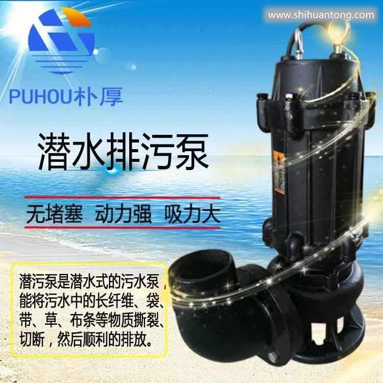 300QW950-24-110潜水式排污泵300QW950-24-110