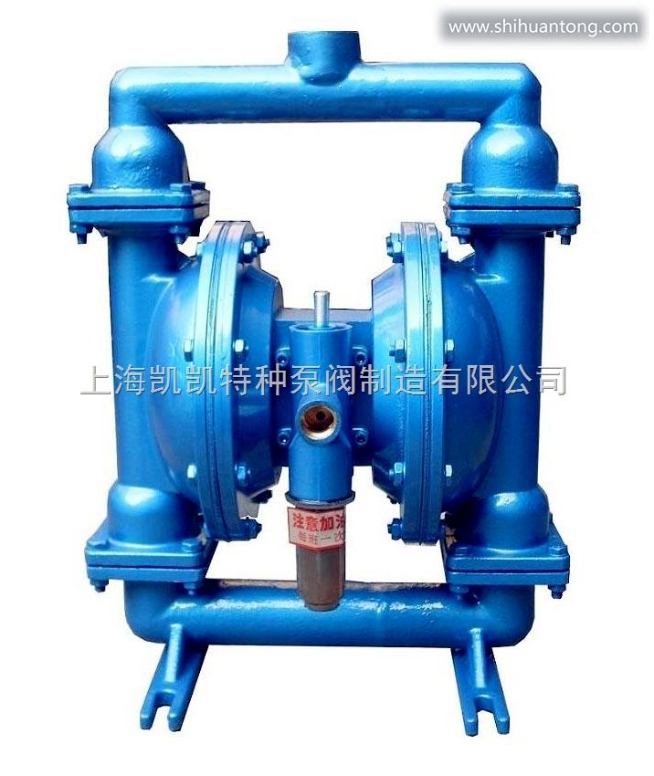 上海凯凯铸铁气动隔膜泵