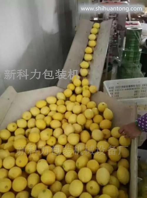 广西柠檬自动包装机