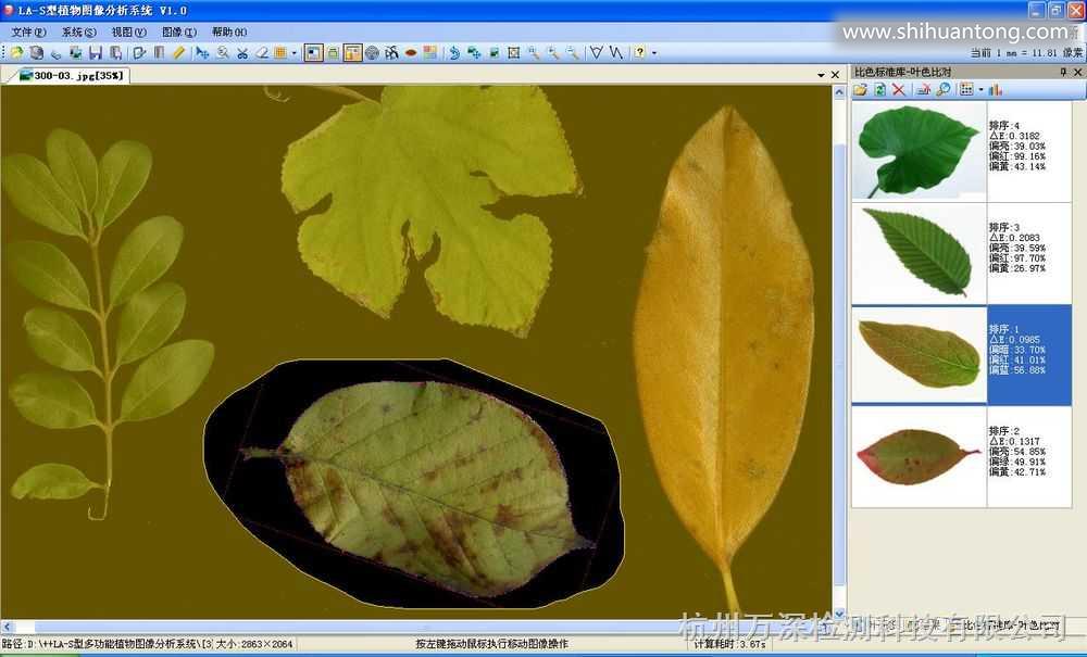 植物图像分析仪系统