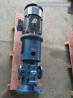 HSNS2200-46三螺杆泵/液压泵