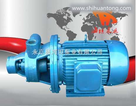 1W型永嘉县海坦牌厂家 1W型单级旋涡泵