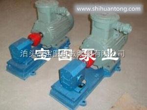 DHB标准的点火齿轮泵有质量保证选型-宝图泵业