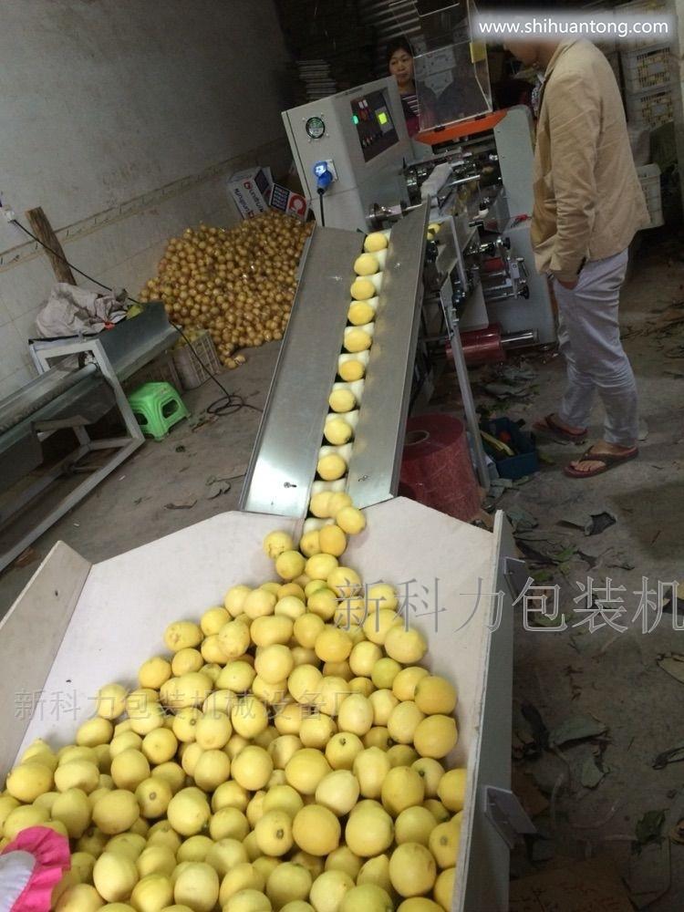 郑州万邦柠檬包装机