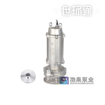WQ( D)X-S 不锈钢精密铸造高扬程污水泵 (丝口出水)
