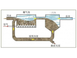 污水處理微生物反應(yīng)原理及影響因素！