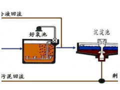 深度脱氮 筛板塔式生物反应器 污水处理厂尾水总氮的控制技术