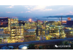 万华化学集团股份有限公司废气治理项目