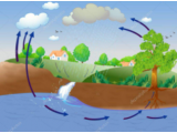 生态环境部等四部委印发《区域再生水循环利用试点实施方案》