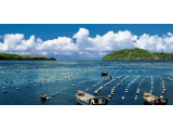 《关于加强海水养殖生态环境监管的意见》发布