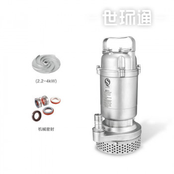 Q(D)X-S 全不锈钢精密铸造小型潜水电泵（丝口）