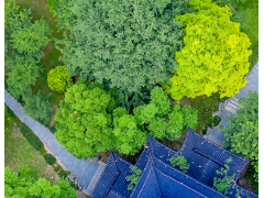 各地机关采购案例