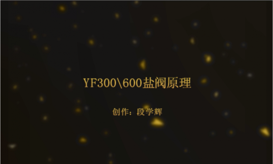 YF300-YF600盐阀原理.