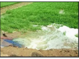 生活污水变灌溉用水 这套污水处理装置惠及3000余户村民