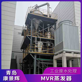 30T/H大型MVR蒸发器_废水处理设备-康景辉