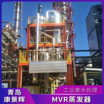 30T/H废水蒸发浓缩设备 MVR蒸发器生产厂家 全自动