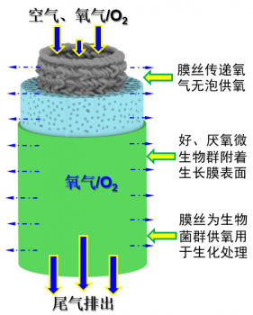 膜曝气生物反应器