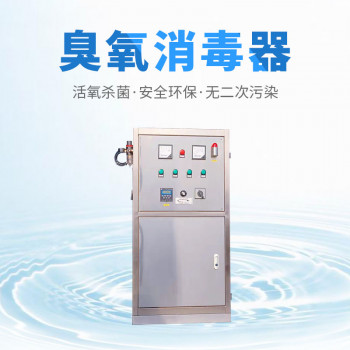 外置式臭氧消毒器不锈钢水箱自洁消毒器水箱水池杀菌器