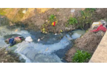 典型案例丨仙桃市城区水污染治理不力 水环境问题突出