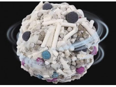 革新猫砂材料：银离子球、活性炭球和沸石球的独特应用
