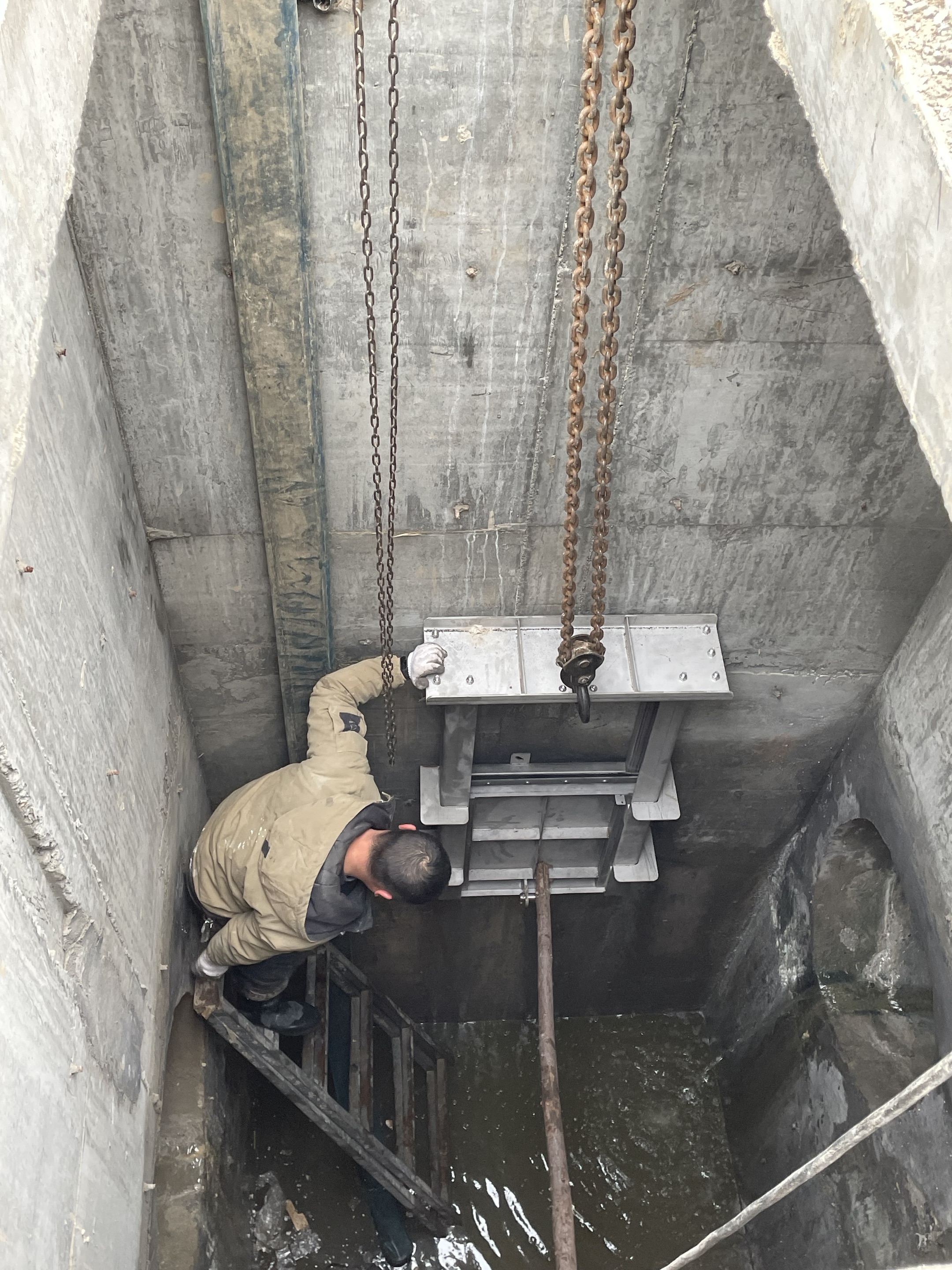 49946f49-f229-464f-bf44-5171f86c90b0