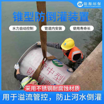 防止河水倒灌设备 管中型防倒灌器 不锈钢拍门柔性止水阀