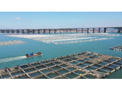 漳州市漳浦-漳浦海水养殖项目