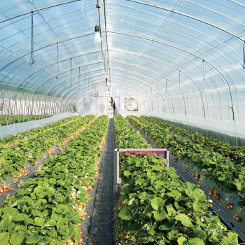 紫外杀虫机器人