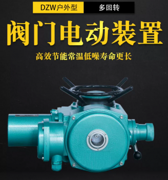 DZW电动装置