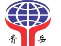 上海青岳电子科技有限公司