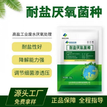 污水处理菌种 好氧菌 厌氧菌 硝化菌 反硝化菌 复合菌