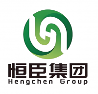 恒臣科技集团有限公司
