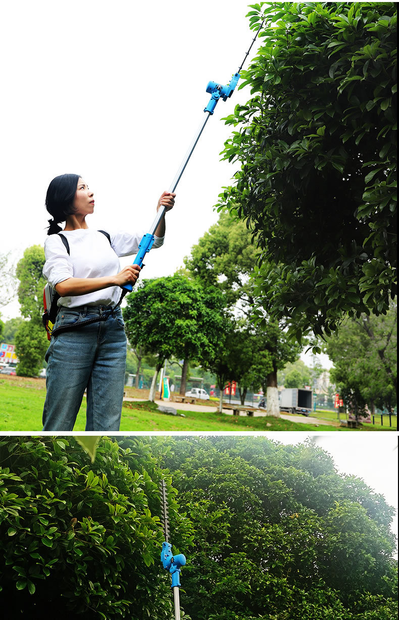 详情_r8_c1.jpg