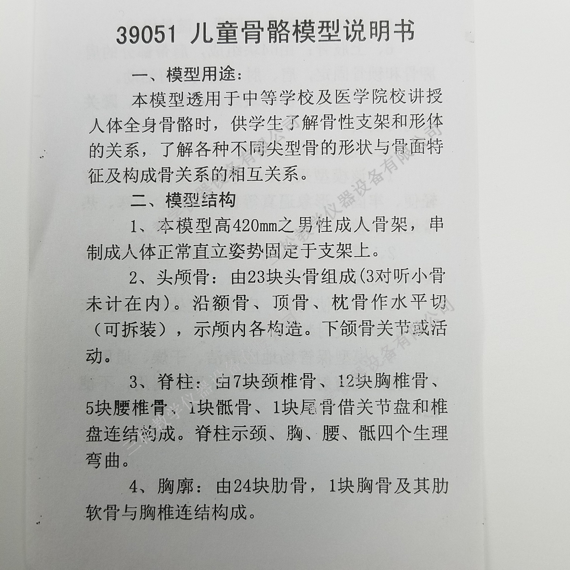 儿童骨骼模型说明书1_副本