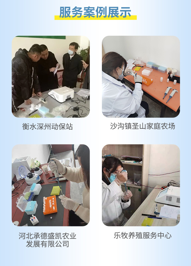 非洲猪瘟检测仪非洲猪瘟检测试剂盒非洲猪瘟荧光定量PCR仪_新闻资讯_第7张_活检穿刺产品网 非洲猪瘟检测仪非洲猪瘟检测试剂盒非洲猪瘟荧光定量PCR仪_https://www.jmylbn.com_新闻资讯_第7张