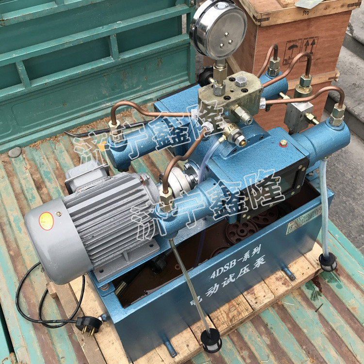 4DSB-100电动试压泵 (26).jpg