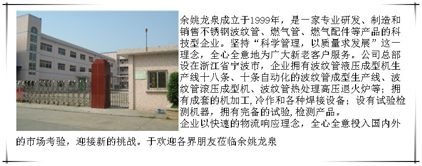 公司介绍