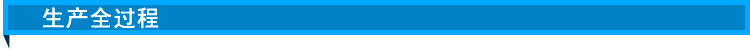 生产全过程
