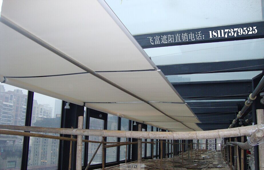 FSS电动天棚帘网9
