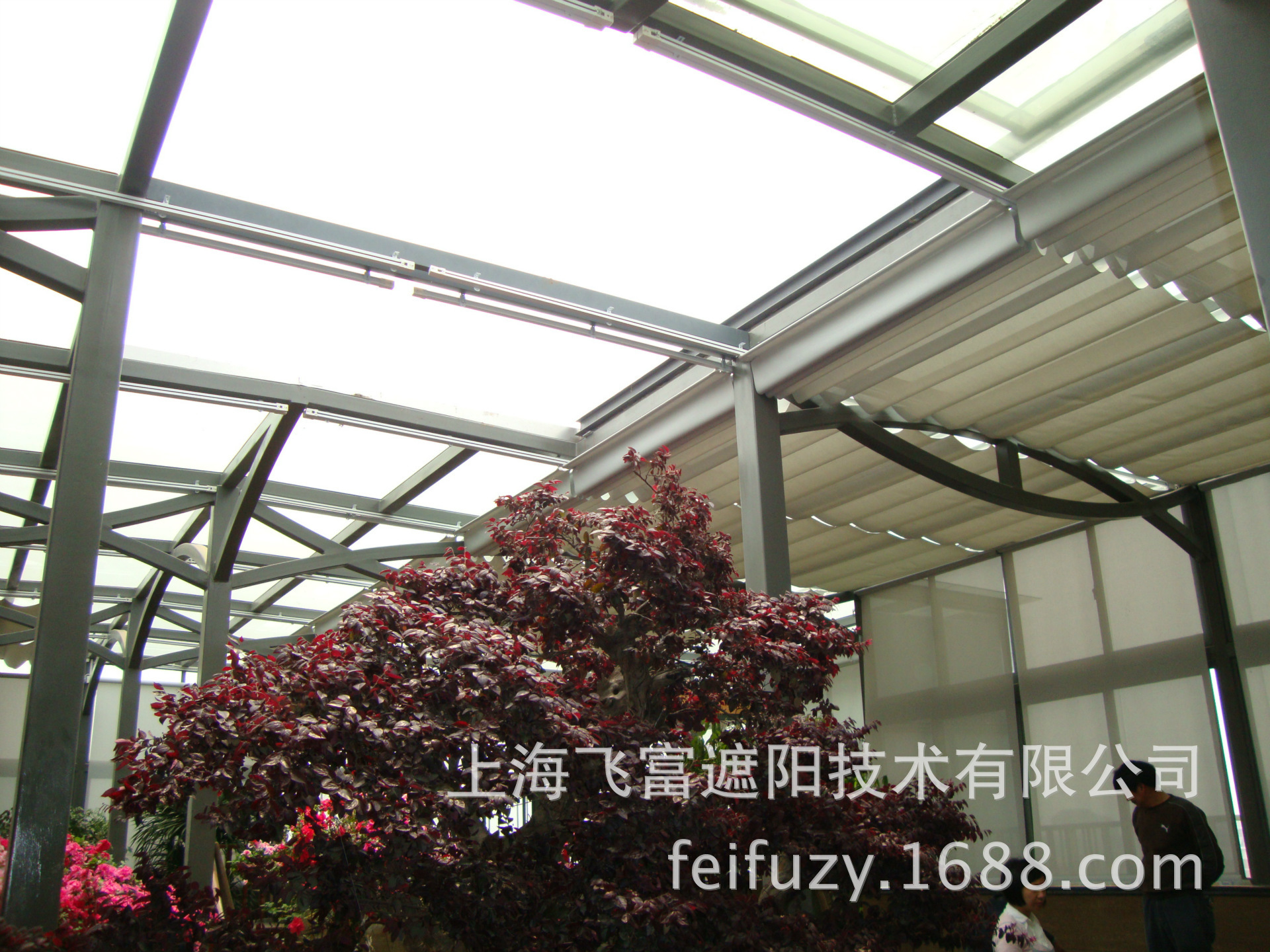 DSC03974